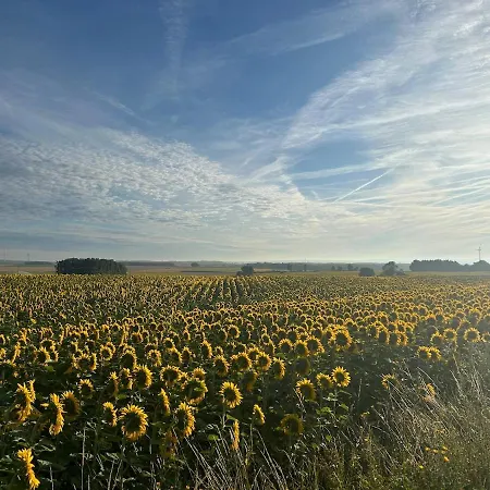 Luxurious Countryside Retreat With 4 Bedrooms, Pool And Barn, Close To Historic Villages And Charente River