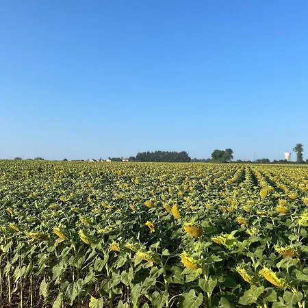 Casa vacanze Luxurious Countryside Retreat With 4 Bedrooms, Pool And Barn, Close To Historic Villages And Charente River Lonnes